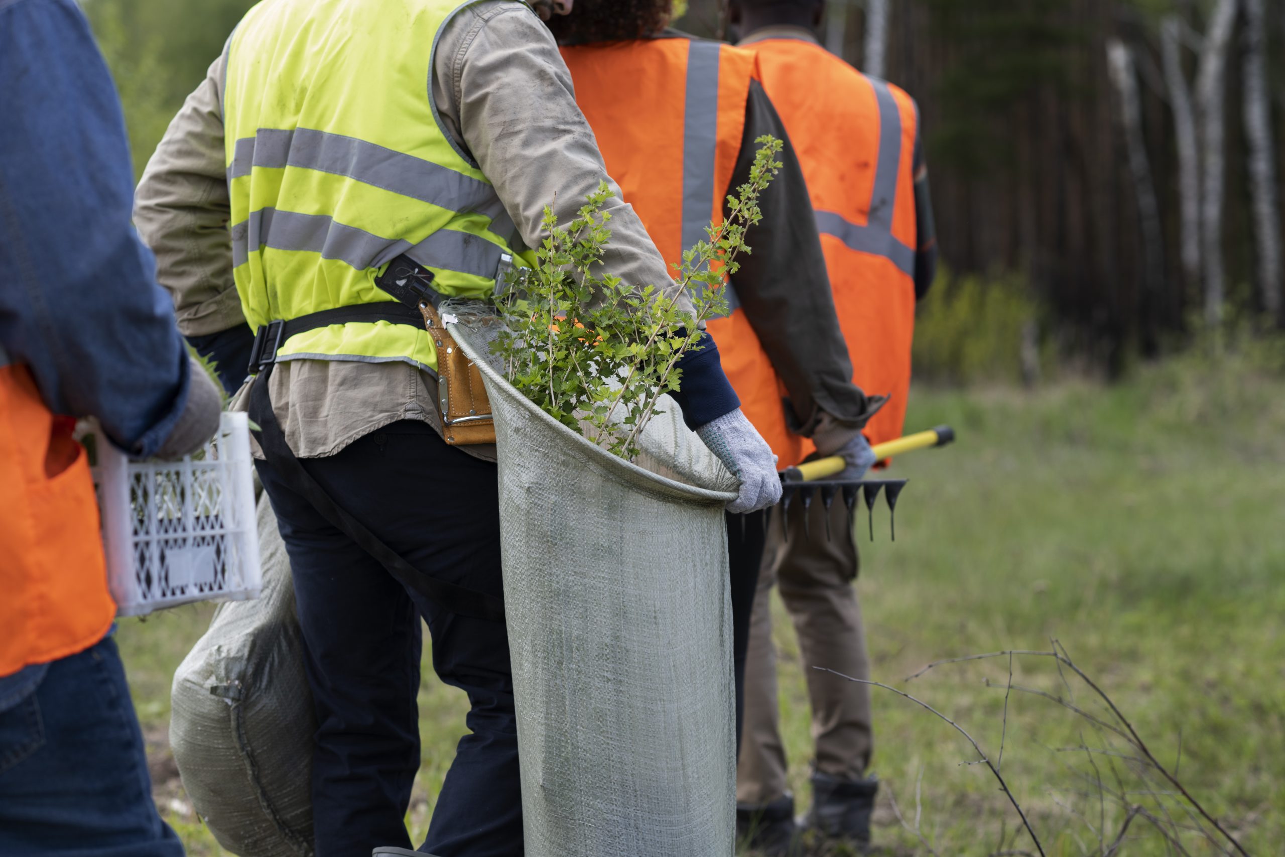 Comprometidos con el medio ambiente